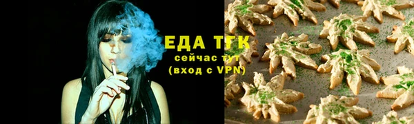 гашик Горняк
