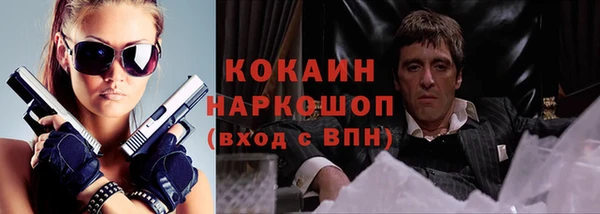 гашик Горняк