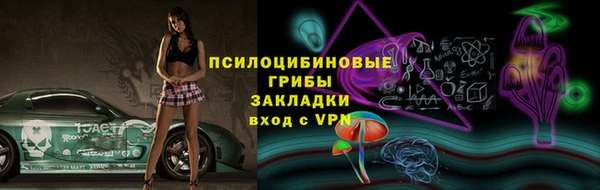 гашик Горнозаводск
