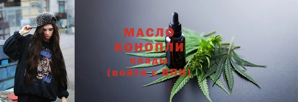 гашик Горняк
