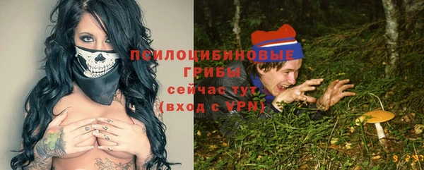 гашик Горнозаводск