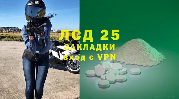 гашик Горняк